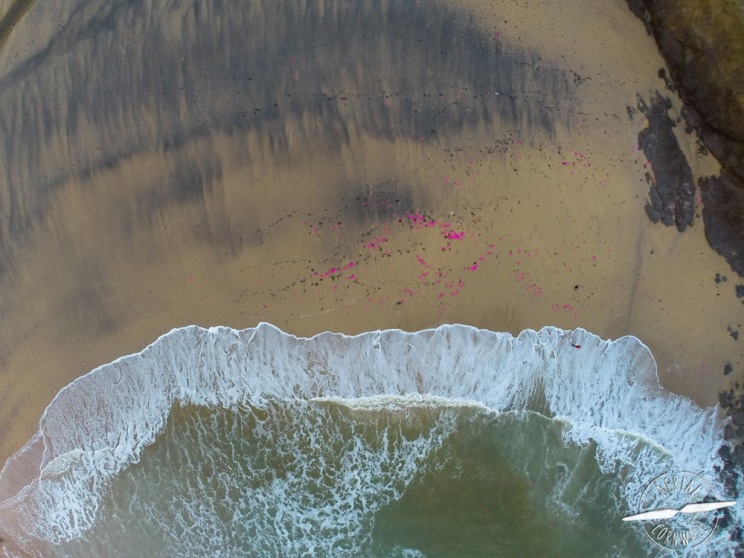 Vanish bottles washed up on Poldu beach